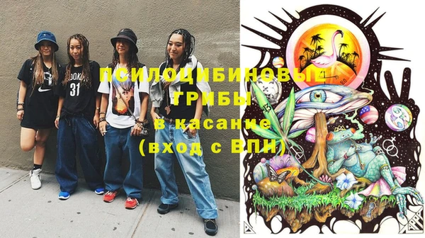 стафф Абинск