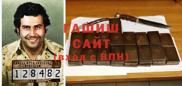 стафф Алексин