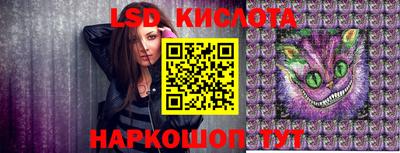 эйфоретик Малгобек