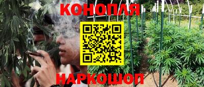 гашик Малоярославец