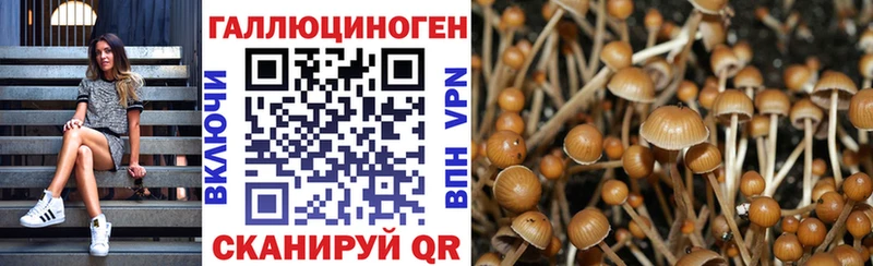 закладки Севастополь Галлюциногенные грибы Psilocybine cubensis