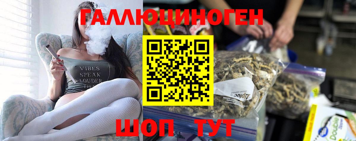 Севастополь  Псилоцибиновые грибы мухоморы  Вход с VPN 